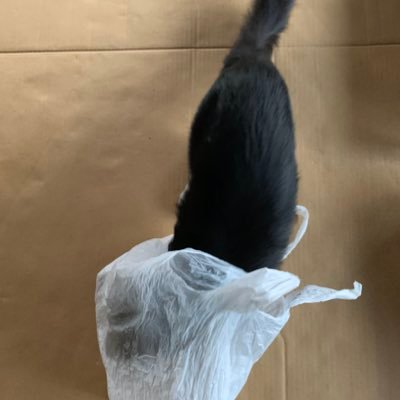 健康思考
