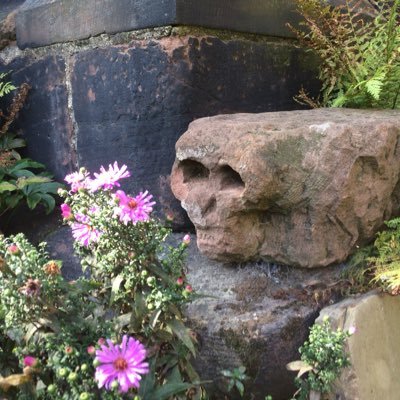 jibberdy's profile picture. fearful