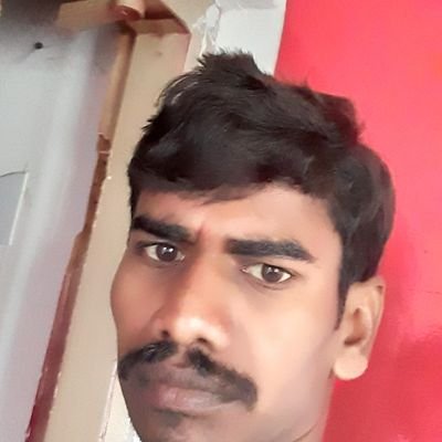 Dbos03262544's profile picture. nv