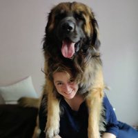 Hannah Goraya (@yorkhannah) 's Twitter Profile
