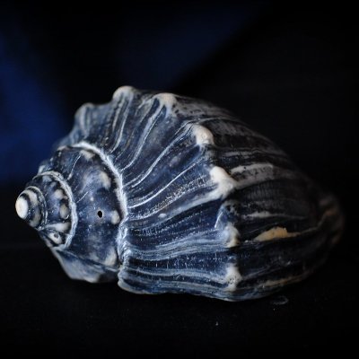 BlackConch's profile picture. Reluctant late sign up to Twitter.  Anarchism from below, Democratic Socialism from above.