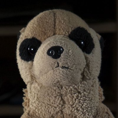 StalinMeerkat Profile Picture