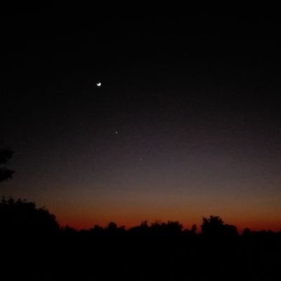 stephifang's profile picture. 