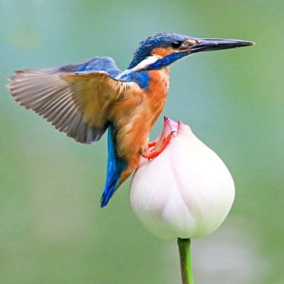 Times51597774's profile picture. time is life