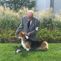 Stlguy57 (@stlguy571) 's Twitter Profile Photo Stlguy57 (@stlguy571) 's Twitter Profile Photo