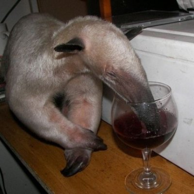 unsolecial's profile picture. 