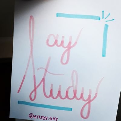Say Study