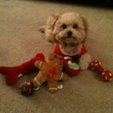 Beth Becker - @OSUtequila - Twitter