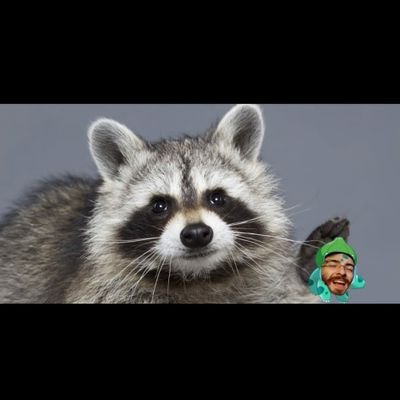 vicrar's profile picture. Algo. Me suelen llamar Sir Vicrar o kraken. 4 8 15 16 23 42