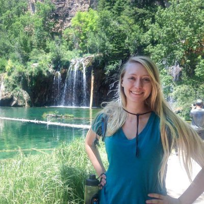 GoFlipALog's profile picture. Reverent of forests. Irreverent of most other things.