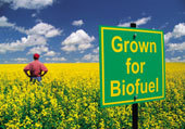 For all your Biofuel News and resources from around the globe. General and technical biofuel information and how to make biofuel at home.