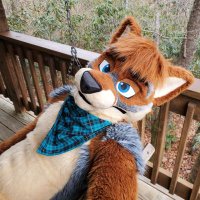 FoxCross (@foxxcross) 's Twitter Profile