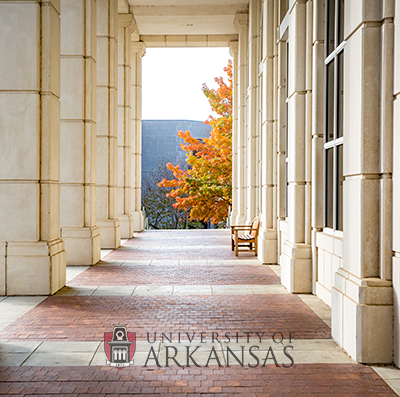 UARKScholarComm Profile Picture