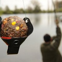 david thacker - @carpmaster2009 Twitter Profile Photo