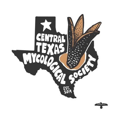 We’re Central Texas’s #1 resources for all things fungi. Follow us for🍄pics and announcements about class/workshop. Become a member & join the myco-revolution.