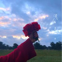 little pony (@rayenewa) 's Twitter Profile