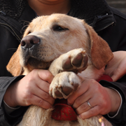 liqiyuan's profile picture. the pursuit of happiness