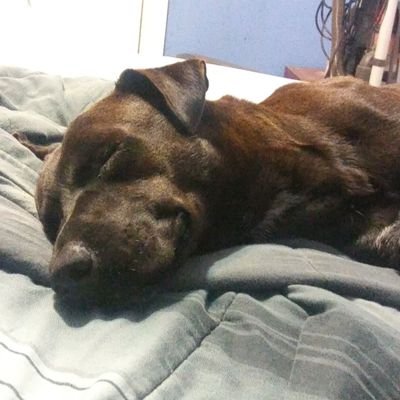 HemeJimmy's profile picture. Hi smile :)
Instagram: Killa2464