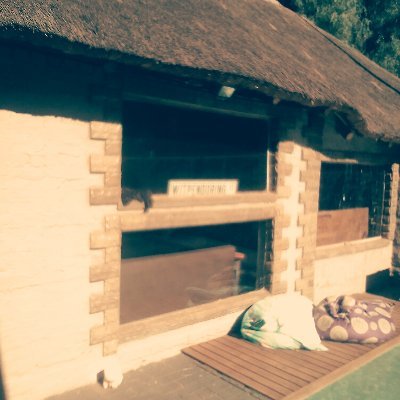 Artist builder with moulds of cladding and swimming pool and pavers also for the patios and around your building to prevent damp and evaluate your property .