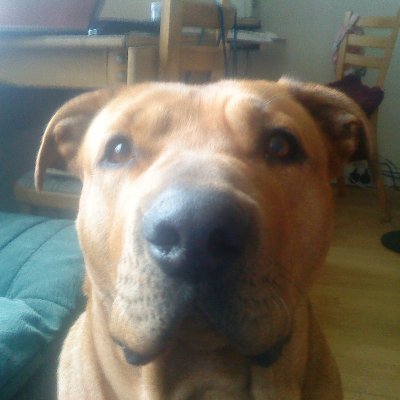 CiaranVan's profile picture. 