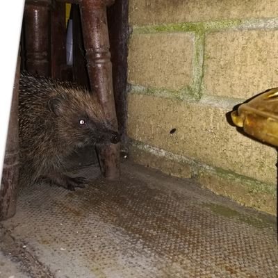 01jacky01's profile picture. 