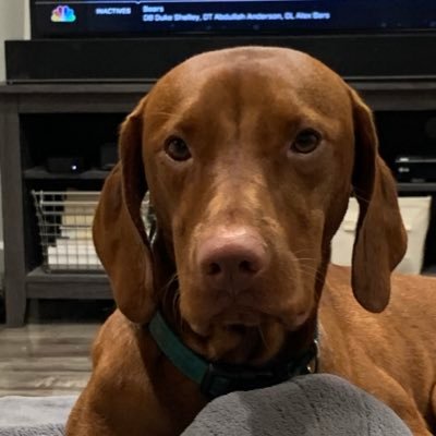 btexfloridaman's profile picture. 