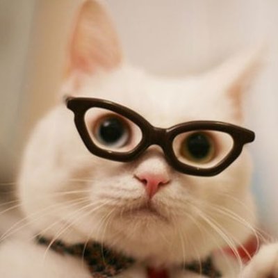 SleepyJanvier's profile picture. Starry-eyed Bookworm 📚🐈🎮
Sometimes NSFW