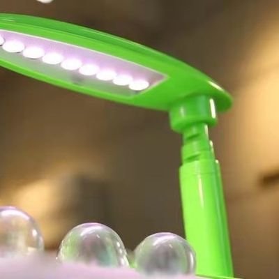 godsongle's profile picture. 