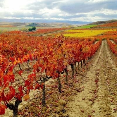 Una tierra con nombre de vino