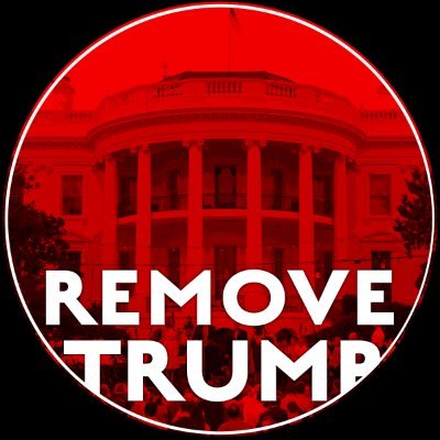 #RemoveTrump for good. We fight to hold him & his loyalists accountable via direct action & awareness campaigns, We're collaborators. We're the #Swarm.