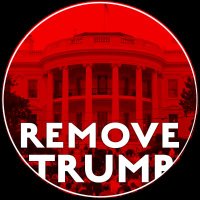 Remove Trump (@remove_trumpnow) 's Twitter Profile