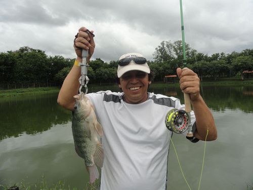 FLY FISHING IT´S LIFESTYLE ...