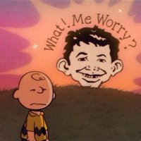 No Context Peanuts(@CB_NoContext) 's Twitter Profile Photo