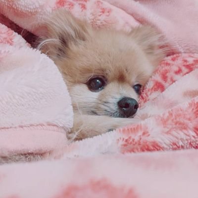 l9lJdVpyJCY5aGd's profile picture. ビギ🔰ビギナー　