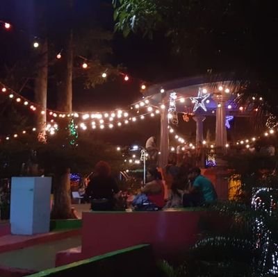 Arielyari12's profile picture. 