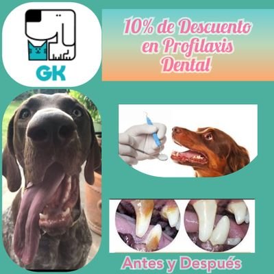 Veterinaria Guardykan. Servicio integral para tus mascotas.
Consulta, Estética, Pensión, Guardería, Paseos, Entrenamiento, Accesorios, Alimento.