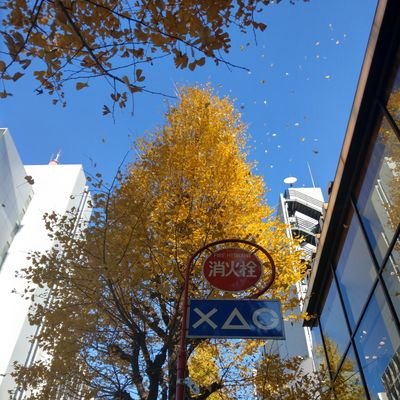 間歇性飲食推。換氣完成開始下潛。
錦鯉又做過什麼。香港Polo聲援會。坂本真綾粉絲。
❤Maaya官方youtube channel 上線啦!   
https://t.co/8Ht50PMoK9