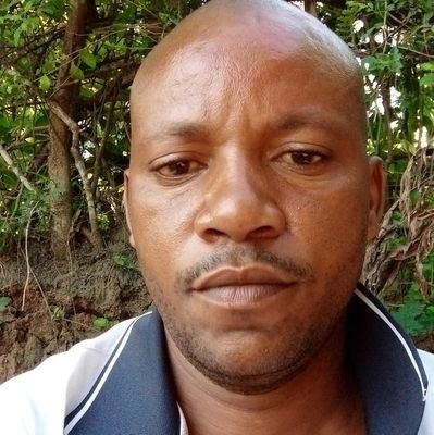 DastanMsaki's profile picture. 