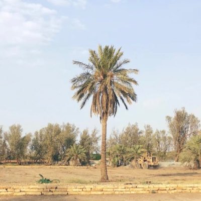 ibrh__94's profile picture. 