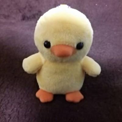 機会音痴の30↑
         夢女子・腐女子です！
色々大好きです！基本乙女ゲーも好き！　  グッズ集めるの好きで、整理が大変だ(笑)
取引アカ…葉月(@torihiqlv)