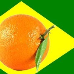 politicaqpariu's profile picture. Um perfil nada político.