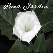 LunaJardin's profile picture. skin care fanatics, Pampering Aficionados, Mommies, Wives, Business Women - Indulgent, luxurious Bath and Body