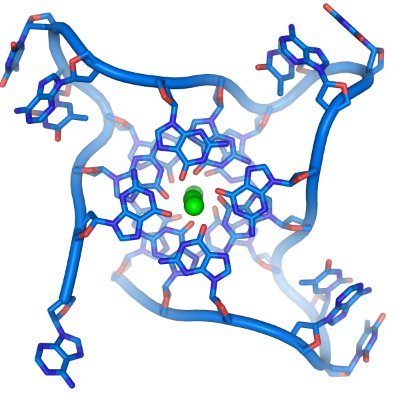 The page dedicated to alternative DNA structures, G-quadruplexes and i-motifs. The latest papers, conferences and trends. @g-quadruplex @i-motif