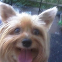 Sherry Warren - @H2osign1951 - Twitter