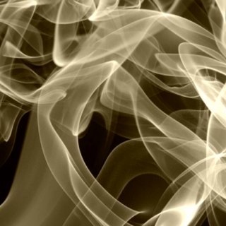 therealMaxFG's profile picture. 