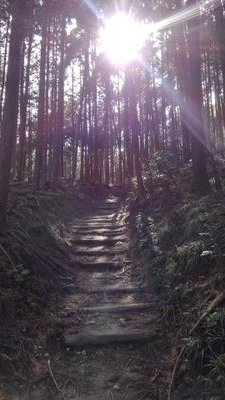 山々と近所、たまに遠征してうろちょろしてます