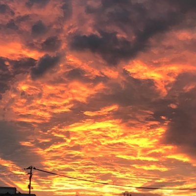 VxbxQUatbMtaTEA's profile picture. *個人の感想です
珈琲、お茶、ワイン、ウイスキー、お香等、嗜好品多め