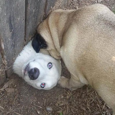 O10Fck's profile picture. 