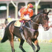ppilFƎd 🏇 🇦🇺 🇳🇿 (@rubicon_nz) 's Twitter Profile Photo ppilFƎd 🏇 🇦🇺 🇳🇿 (@rubicon_nz) 's Twitter Profile Photo