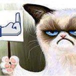 Digime_pt's profile picture. 